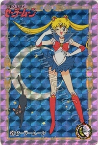 Sailor Moon Carddass Set 2